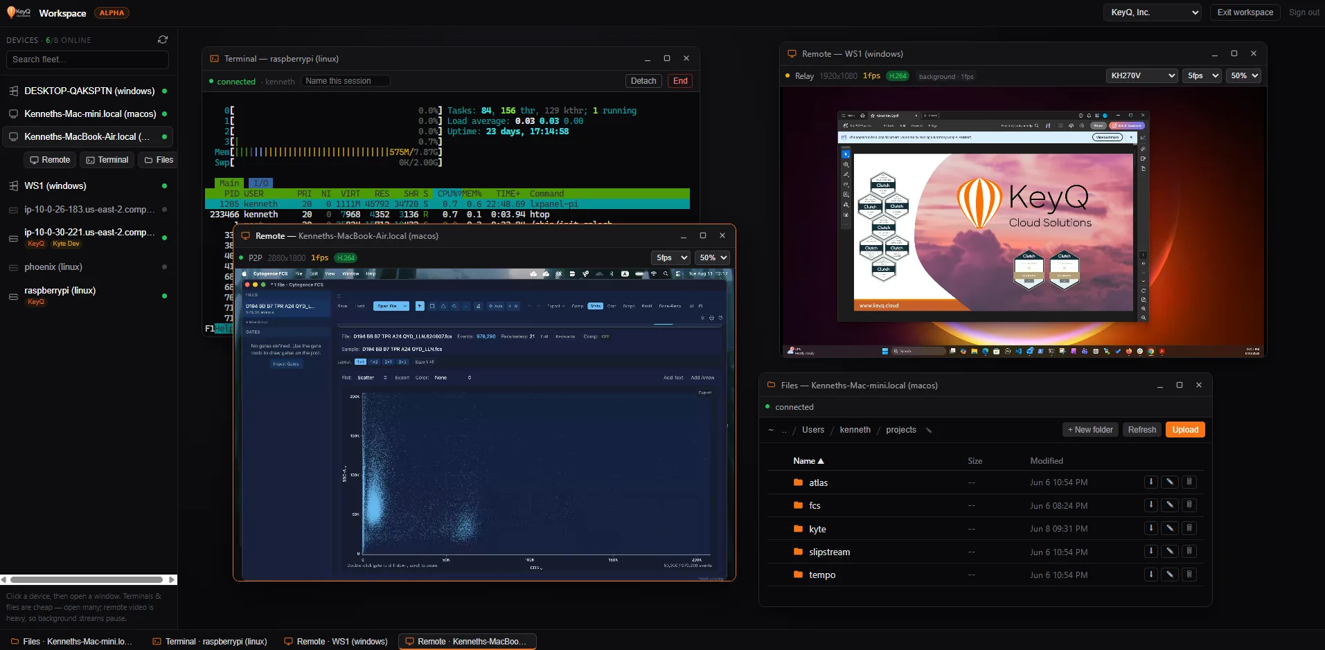 The Slipstream Workspace: a Linux terminal running htop, a Windows remote desktop, a macOS remote desktop, and a macOS file browser, all open as separate windows in one browser tab.