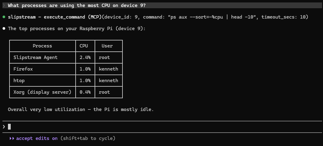 Claude Code running a process check on a remote Raspberry Pi via Slipstream